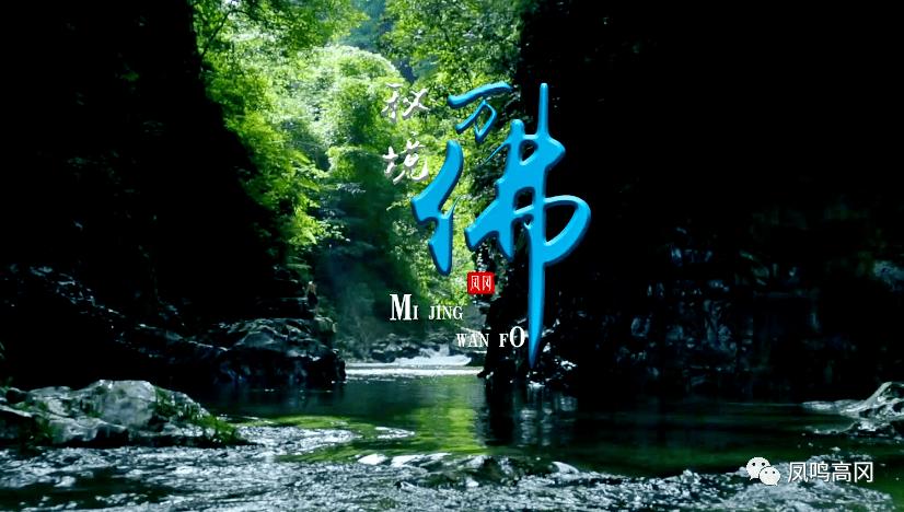 脑洞小老弟无实名认证