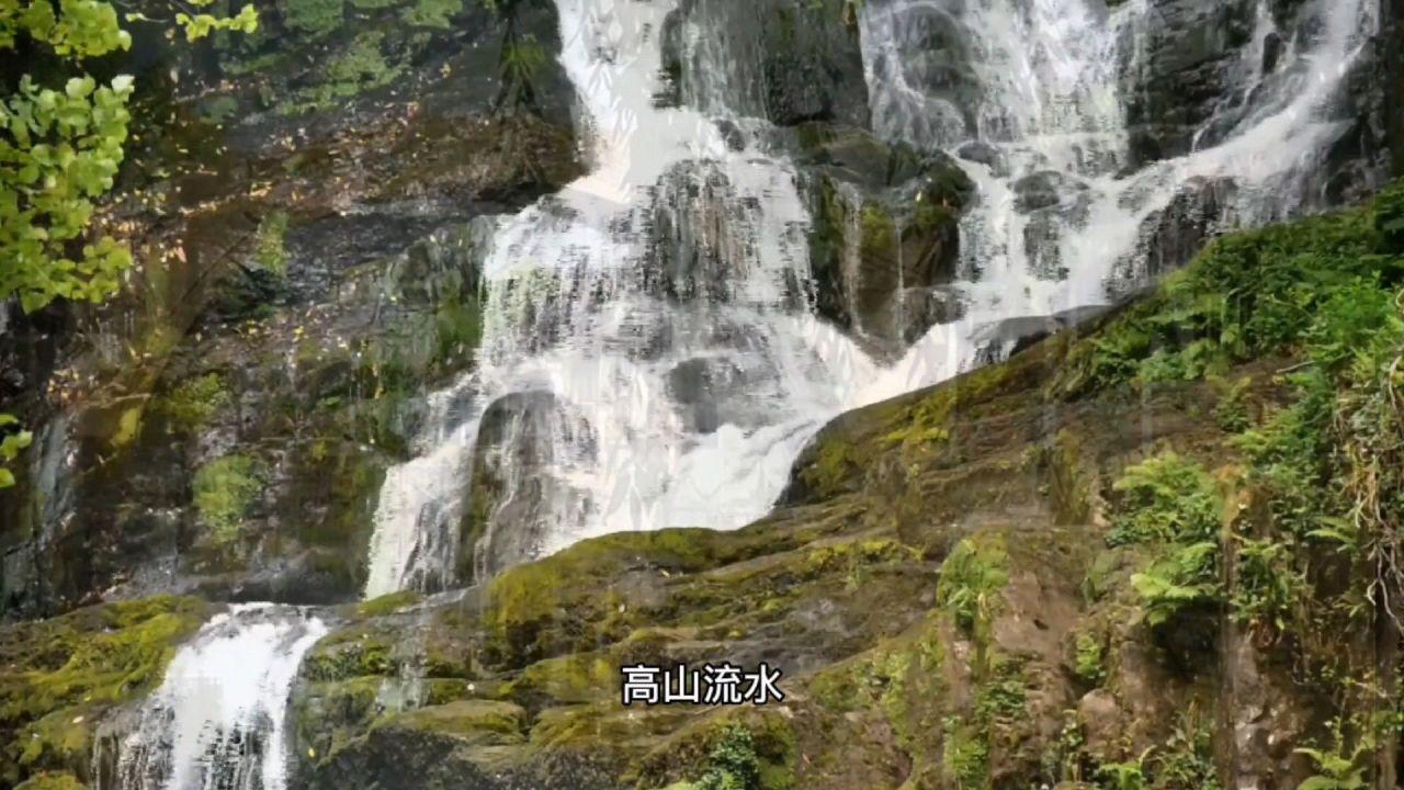 逗小猴开心系列165