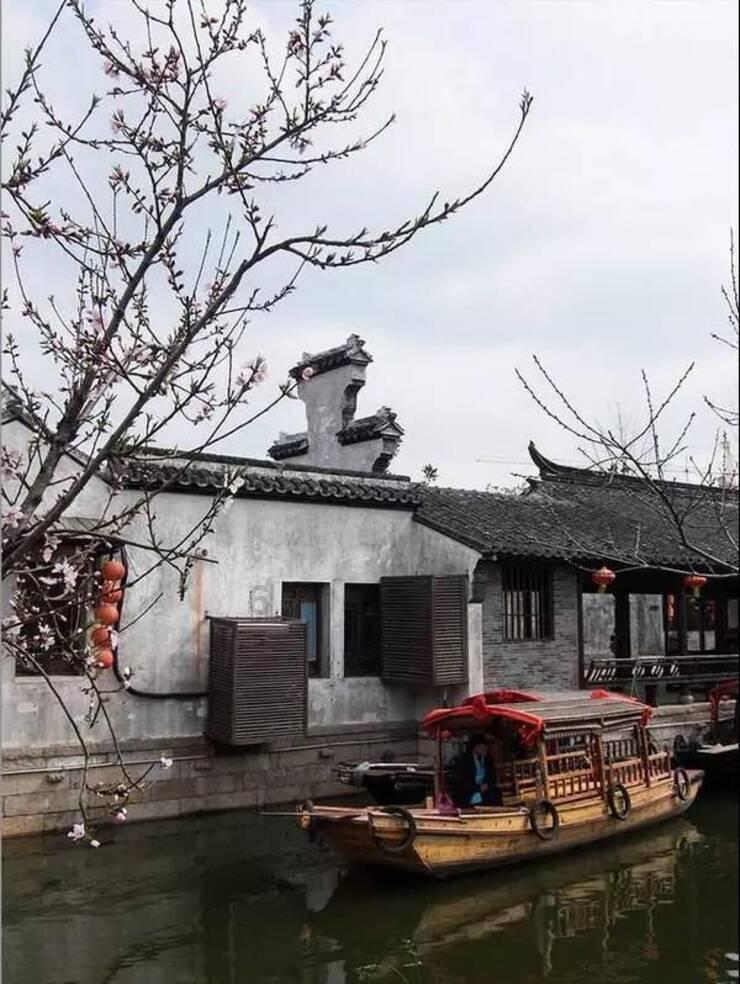 丛林森林逃生